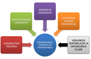 Imagen10