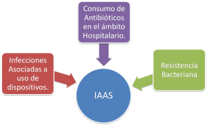 Imagen5