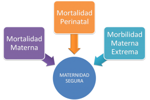 Imagen8