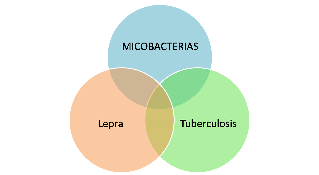 MICOBACTERIAS | Secretaría Local De Salud Y Seguridad Social